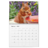 2027 Eichhörnchen Kalender (Feb 2027)