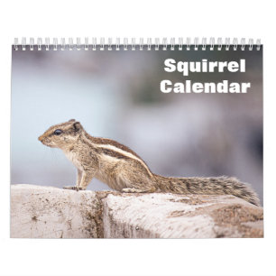 2027 Eichhörnchen-Kalender Kalender