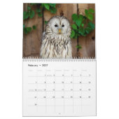 2027 Eulen Nordamerikas | Tierfotografie Kalender (Feb 2027)