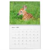 2027 Familie Weißwedelhirsche | Waldtiere Kalender (Mär 2027)
