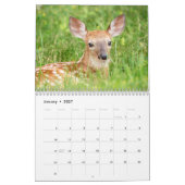 2027 Familie Weißwedelhirsche | Waldtiere Kalender (Jan 2027)
