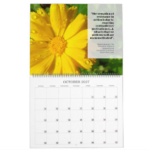 2027 Feldy-Kalender: Ein Jahr in Blüte Kalender