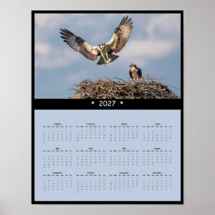 2027 Fischadler-Wandkalender - Majestätische Raubv Poster