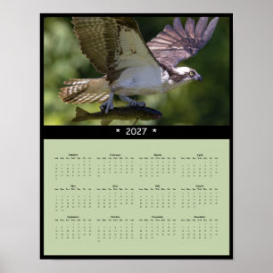 2027 Fischadler-Wandkalender - Majestätische Tierw Poster