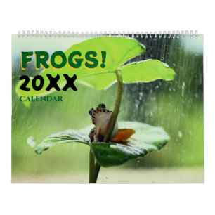 2027 Frösche in der Natur Wandkalender Cute