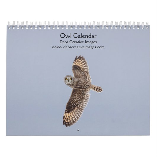 2027 Geheimnisvolle Eulen | Nachtaktive Tierwelt Kalender (Titelbild)