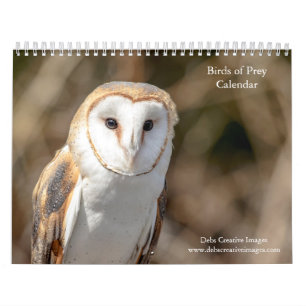 2027 Greifvögel Nordamerikanische Raubvögel Kalender
