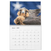 2027 Greifvögel von New York | Wildlife-Fotografie Kalender (Mär 2027)