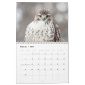 2027 Greifvögel von New York | Wildlife-Fotografie Kalender (Feb 2027)