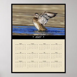 2027 Holzente-Wandkalender - Wildlife-Fotos Poster