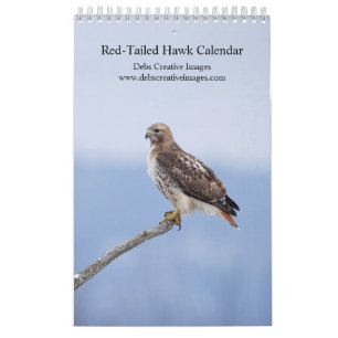 2027 Hudson Valley Rotschwanzbussard-Kalender Kalender
