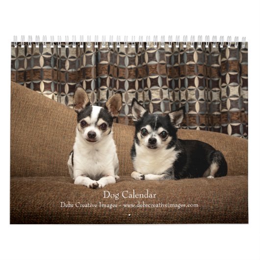 2027 Hunde | Beste Freunde in jeder Jahreszeit Kalender (Titelbild)