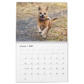 2027 Hunde | Beste Freunde in jeder Jahreszeit Kalender (Jan 2027)