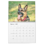 2027 Hunde | Beste Freunde in jeder Jahreszeit Kalender (Feb 2027)