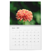 2027 Im Garten | Schmetterlinge & Kolibris Kalender (Mär 2027)