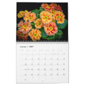 2027 Im Garten | Schmetterlinge & Kolibris Kalender (Jan 2027)