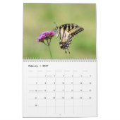 2027 Im Garten | Schmetterlinge & Kolibris Kalender (Feb 2027)