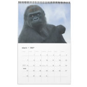 2027 Immerwährende Twycross-Gorilla-Familie Kalender (Mär 2027)