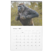 2027 Immerwährende Twycross-Gorilla-Familie Kalender (Jan 2027)