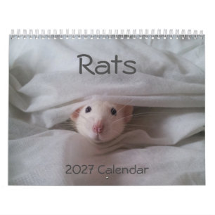 2027 Kalender für Haustierratten