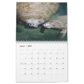 2027 Kalender Jungtiere in freier Wildbahn (Mär 2027)