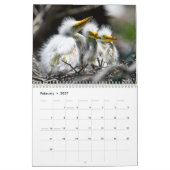 2027 Kalender Jungtiere in freier Wildbahn (Feb 2027)