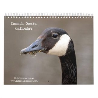 2027 Kanadagänse | Familien- & Wildtierfotografie Kalender