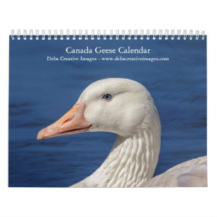 2027 Kanadagänse Familien-Wildtierfotografie Kalender