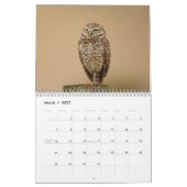 2027 Kaninchenkauz | Florida Wildlife-Fotografie Kalender (Mär 2027)