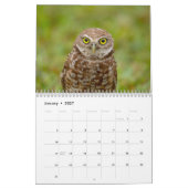 2027 Kaninchenkauz | Florida Wildlife-Fotografie Kalender (Jan 2027)