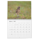 2027 Kaninchenkauz | Florida Wildlife-Fotografie Kalender (Feb 2027)