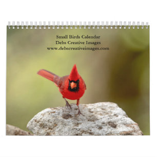 2027 Kleine Vögel Hinterhof-Vogelfotografie Kalender