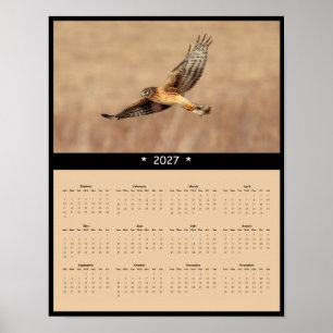 2027 Kornweihe-Wandkalender - Weißes Hinterteil Poster