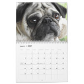 2027 Kostbare Möpse Kalender (Mär 2027)