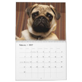 2027 Kostbare Möpse Kalender (Feb 2027)