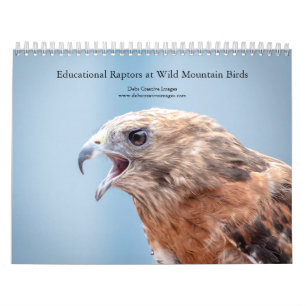 2027 Lehrvögel bei Wild Mountain Birds Kalender