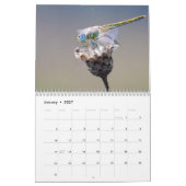 2027 Libelle Kalender (Jan 2027)