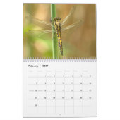 2027 Libelle Kalender (Feb 2027)