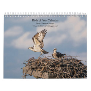 2027 Majestätische Raubvögel Greifvögel Kalender