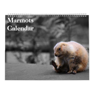 2027 Murmeltier-Kalender Kalender