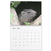 2027 Murmeltier-Kalender Kalender (Mär 2027)