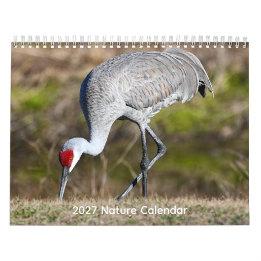 2027 Naturkalender Kalender (Titelbild)
