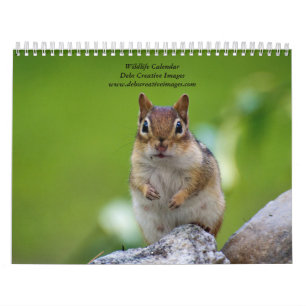 2027 New Yorker Wildtiere Naturfotografie Kalender