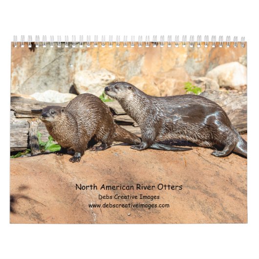 2027 Nordamerikanische Flussotter | Wildtiere Kalender (Titelbild)