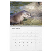 2027 Nordamerikanische Flussotter | Wildtiere Kalender (Mär 2027)