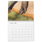 2027 Nordamerikanische Flussotter | Wildtiere Kalender (Jan 2027)