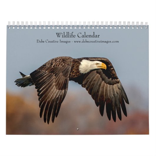2027 Nordamerikanische Tierwelt | Naturfotografie Kalender (Titelbild)