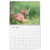 2027 Nordamerikanische Tierwelt | Naturfotografie Kalender (Mär 2027)