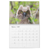 2027 Nordamerikanische Tierwelt | Naturfotografie Kalender (Feb 2027)