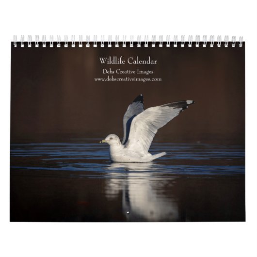 2027 Nordamerikanische Tierwelt | Wilde Tiere Kalender (Titelbild)